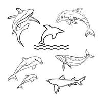 Sammlung von Hand gezeichnet Wale im Vektor. vektor