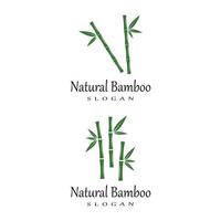 bambu logotyp mall vektor ikon illustration design