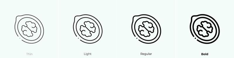 valnöt ikon. tunn, ljus, regelbunden och djärv stil design isolerat på vit bakgrund vektor