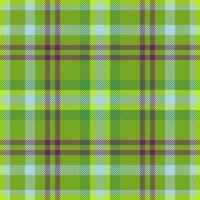 Textur Hintergrund Muster von Stoff prüfen Textil- mit ein nahtlos Vektor Plaid Schottenstoff.