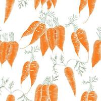 Hand gezeichnet frisch und organisch Karotte nahtlos Muster vektor