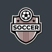 fotboll logotyp märke med en fotboll illustration. sport team logotyp vektor mall.