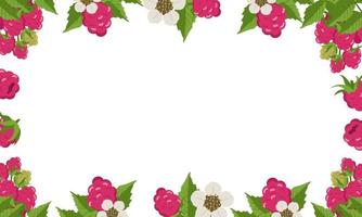 Rahmen mit Himbeeren, Blättern und weißen Blüten auf weißem Hintergrund. helles Beerenquadratmuster. Sommeressenbanner vektor