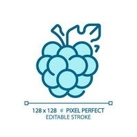 Beeren Pixel perfekt Blau rgb Farbe Symbol. frisch Brombeere. gesund Lebensmittel. Sommer- Frucht. Wellness Lebensstil. isoliert Vektor Illustration. einfach gefüllt Linie Zeichnung. editierbar Schlaganfall