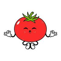 Tomate tun Yoga Charakter. Vektor Hand gezeichnet traditionell Karikatur Jahrgang, retro, kawaii Charakter Illustration Symbol. isoliert auf Weiß Hintergrund. Tomate entspannen Charakter