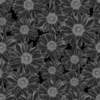 sömlös mönster av kamomill blommor i svart och vit vektor