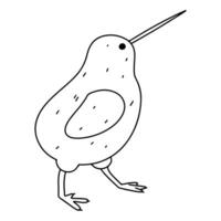 söt kiwi fågel. hand dragen klotter stil. vektor illustration isolerat på vit. färg sida.