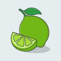 frisch Limette Obst Karikatur Vektor Illustration. Scheibe und ganze von Limette eben Symbol Gliederung