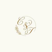 Initialen ct Hochzeit Monogramm Logo mit Blätter und elegant kreisförmig Linien vektor