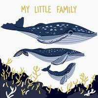 ein Familie von Karikatur Wale auf ein Weiß Hintergrund mögen ein Postkarte mit das Unterschrift meine wenig Familie. Papa, Mama und Baby im Blau Farben. Illustration von das Buckel Wal Familie. Tiere schwimmen zusammen vektor