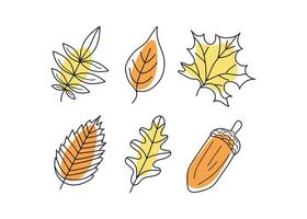 uppsättning löv. höst löv och ekollon , mängd. klotter ikoner. vektor illustration på en vit isolerat bakgrund.