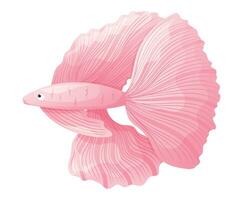 vektor tecknad serie isolerat hav rosa fisk ungtupp.