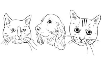 uppsättning av hand dragen skisse djur- hund huvud. vektor illustration beagle hund är en enkel vektor skiss illustration
