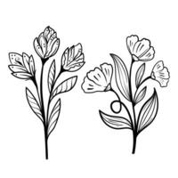 einstellen von botanisch Künste. Hand gezeichnet Linie Zeichnung von abstrakt Blume, Blumen, Rose, tropisch Blätter, Frühling und Herbst Blatt, Strauß von Oliven vektor