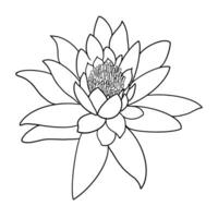 Lotus auf Weiß Hintergrund, Vektor