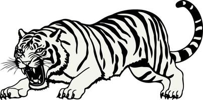 Tier Säugetier katzenartig wütend Tiger im schwarz Weiß vektor