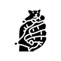 Hamster Haustier Hand Glyphe Symbol Vektor Illustration