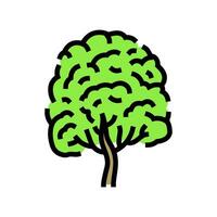 neem Baum Urwald Amazonas Farbe Symbol Vektor Illustration