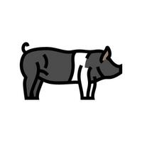 Hampshire Schwein Rasse Farbe Symbol Vektor Illustration