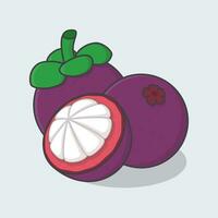 Scheibe und ganze von Mangostan Karikatur Vektor Illustration. Mangostan Obst eben Symbol Gliederung