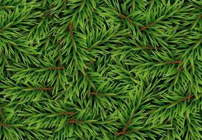 realistisk gran grenar bakgrund, julgran, tall. vektor illustration