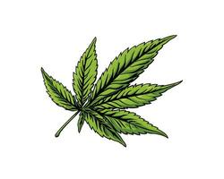 glatt und einfach Vektor Illustration von ein Gras Blatt, perfekt zum Logos und Symbole. ein sauber, minimalistisch Design zum im Zusammenhang mit Cannabis Unternehmen.