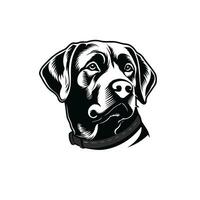 Labrador Retriever. Linie Kunst. Silhouette. Vorlage. Nahansicht. Clip Kunst. schwarz und Weiß. vektor