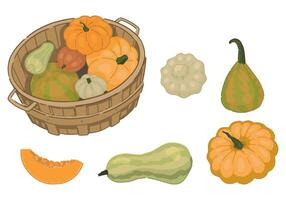 tecknad serie ClipArt uppsättning av pumpa grönsaker. klotter av höst jordbruks skörda. vektor illustrationer samling isolerat på vit bakgrund.