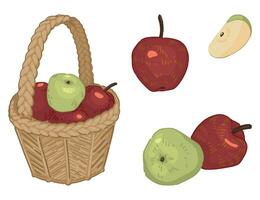 Karikatur Clip Art einstellen von Äpfel Früchte. Kritzeleien von Herbst Garten Ernte. Vektor Abbildungen Sammlung isoliert auf Weiß Hintergrund.