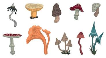 abstrakt Pilz Kritzeleien Sammlung. Karikatur Vektor Abbildungen von giftig Pilze. Halloween Geheimnis Clip Kunst isoliert auf Weiß Hintergrund.