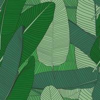 schöne Palme Blatt Silhouette nahtlose Muster Hintergrund Vektor-Illustration vektor