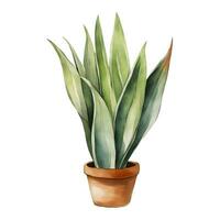 orm växt sansivieria dracaena trifasciata i lera pott isolerat hand dragen vattenfärg målning illustration vektor