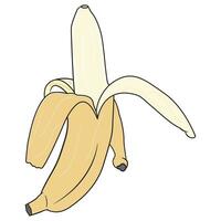 Cartoon-Bananen. Banane schälen, gelbe Frucht und Bananenstaude. tropische Früchte, Bananensnack oder vegetarische Ernährung. isolierte vektorillustrationsikonen eingestellt vektor