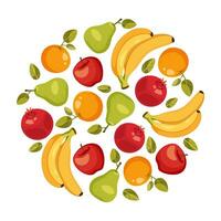 vektor sammansättning av runda design bestående av frukter. runda sammansättning mall bestående av banan, äpple, päron, orange, granatäpple