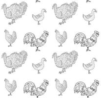 Vektor nahtlos Muster von Hand gezeichnet Zuhause Vögel