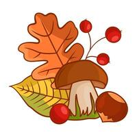 Herbst Komposition von Blätter, Pilze, Kastanie und Eberesche Beeren. Vektor Karikatur Illustration