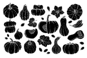 Kürbis Silhouetten Satz. schwarz Silhouetten von Kürbisse mit ein Weiß Umriss. Kürbisse von verschiedene Formen und Figuren, handgemalt. skizzieren. Vektor illustriert Clip Art.