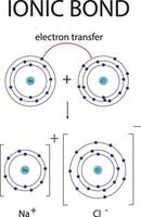 ionisch Verbindung Diagramm zum Chemie Bildung vektor