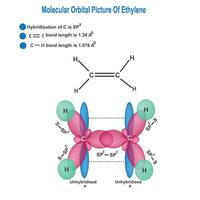 molekyl orbital bild av eten, bildning av sp2 hybridisering. vektor