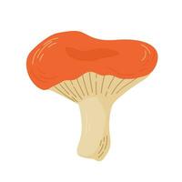 russula Pilz Vektor Illustration. essbar Pilze im Wälder