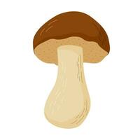 cep Pilz Vektor Illustration. essbar Pilze im Wälder