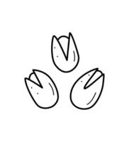Pistazien Symbol Karikatur Gekritzel. Vektor Illustration von Snacks gesalzen Nüsse im ein Hülse, isolieren auf Weiß.