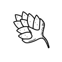 hop Pflanze Symbol Gekritzel Karikatur. Vektor Illustration von ein hop Obst skizzieren isoliert auf Weiß.