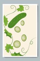 Gurkenwandkunst buntes Poster. minimalistisches Gemüse mit grünen Blättern, Stiel und geschnittenen Stücken. Vektor