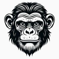 Affe Vektor Logo einfach realistisch Natur Primas Afrika Gorilla Krallenaffen Schimpanse Kunst Zeichnung Illustration wild Tier