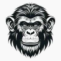 Affe Vektor Logo einfach realistisch Natur Primas Afrika Gorilla Krallenaffen Schimpanse Kunst Zeichnung Illustration wild Tier