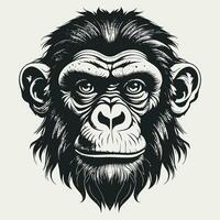 Affe Vektor Logo einfach realistisch Natur Primas Afrika Gorilla Krallenaffen Schimpanse Kunst Zeichnung Illustration wild Tier