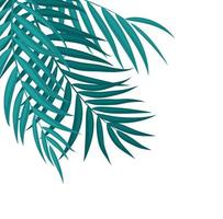 schöne Palmenblatt-Silhouette-Hintergrund-Vektor-Illustration vektor