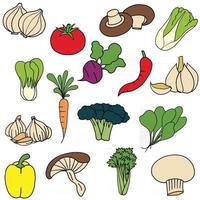 Sammlung von Einfachheit Gemüse flaches Design. vektor