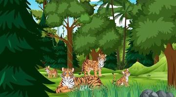 Tigerfamilie in Wald- oder Regenwaldszene mit vielen Bäumen vektor